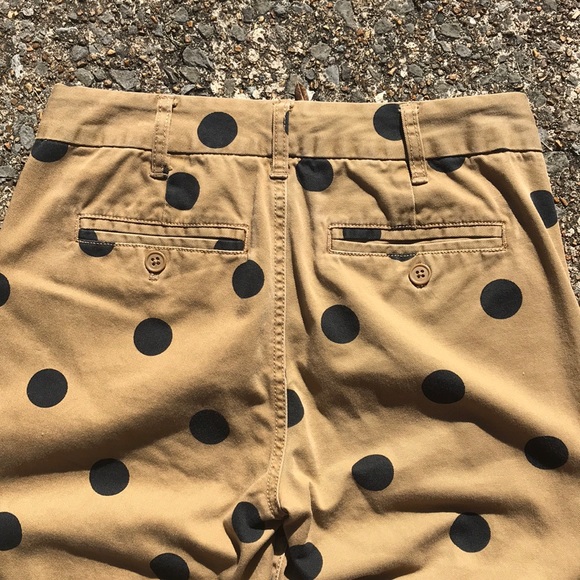 Cute J. Crew Polka Dot Khaki Chinos - Picture 6 of 8